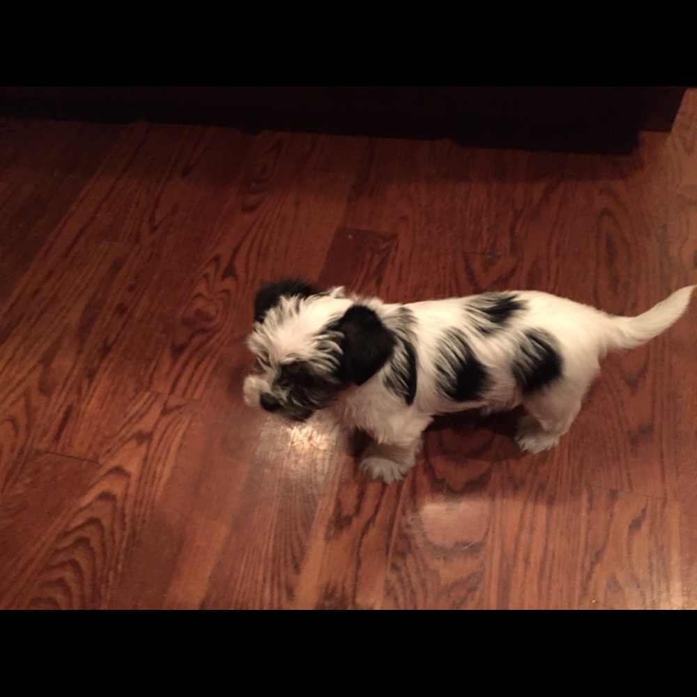 Meet your Posher, Jason